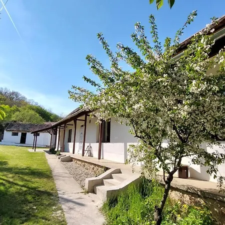 Holiday home Pusztakisfalu Vendeghaz 2 Lovaszheteny