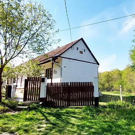 Pusztakisfalu Vendeghaz 2 Holiday home